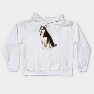 Husky meme Kids Hoodie